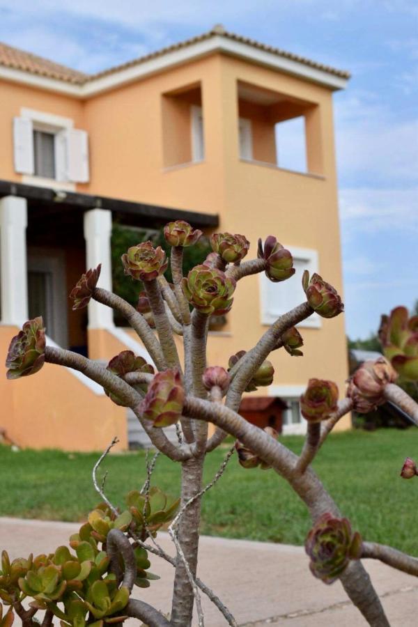 Boutique Hotel Ileas Village Arkoudi Exterior foto
