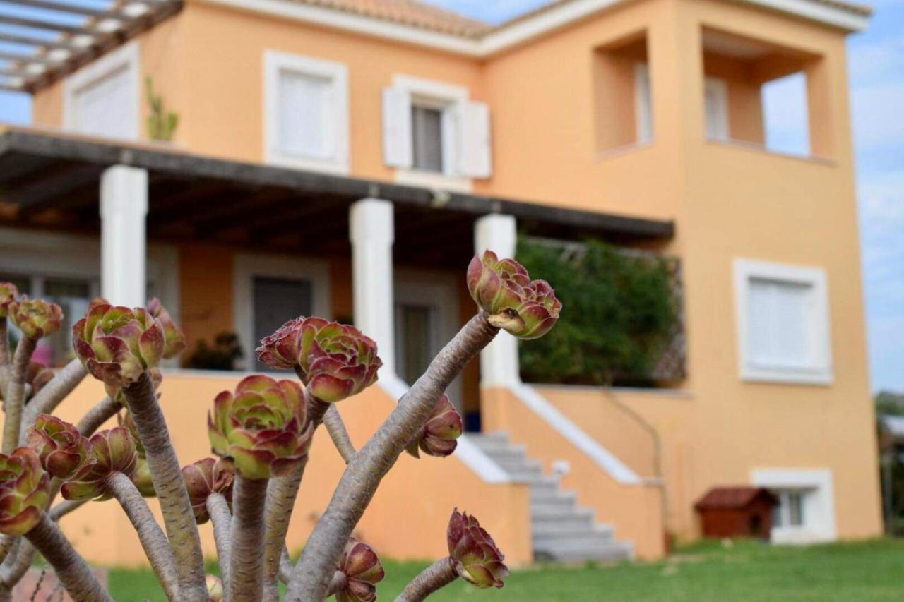Boutique Hotel Ileas Village Arkoudi Exterior foto